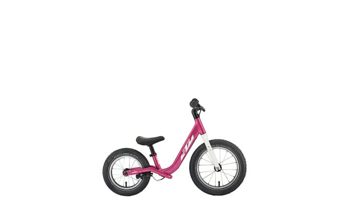 KTM Wild Buddy 12