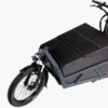 Riese und Müller Load 60 touring ab: