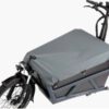 Riese und Müller Load 60 touring ab: