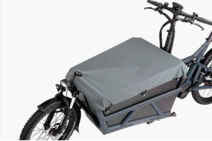 Riese und Müller Load 60 touring ab: