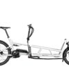 Riese und Müller Load 75 touring ab: