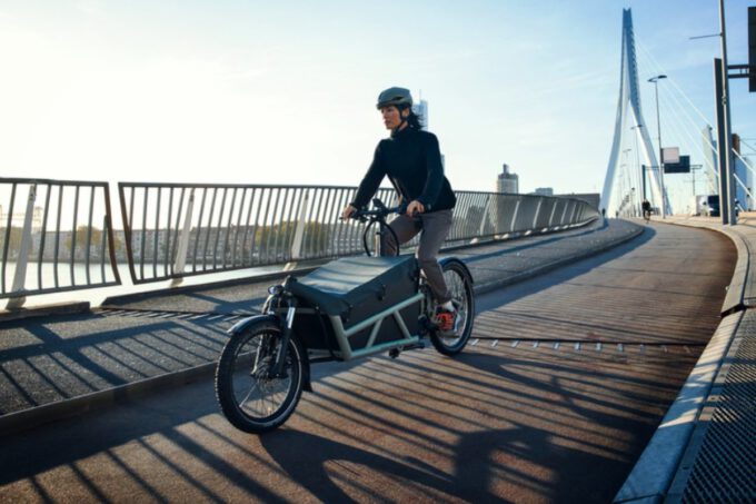 Riese und Müller Load4 60 touring ab:
