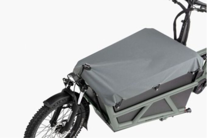 Riese und Müller Load4 60 touring ab: