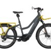 Riese und Müller Multicharger Mixte GT family ab: