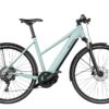 Riese und Müller Roadster Mixte touring ab: