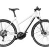 Riese und Müller Roadster Mixte touring ab: